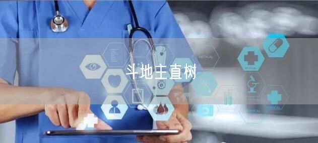 斗地主直树