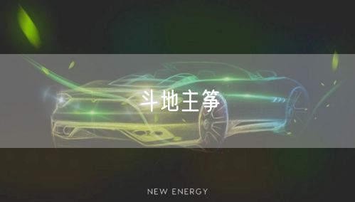 斗地主筝