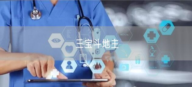 三宝斗地主