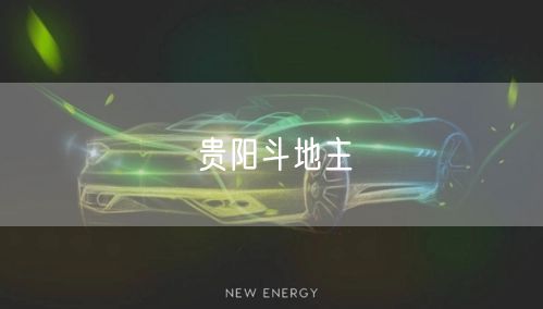 贵阳斗地主